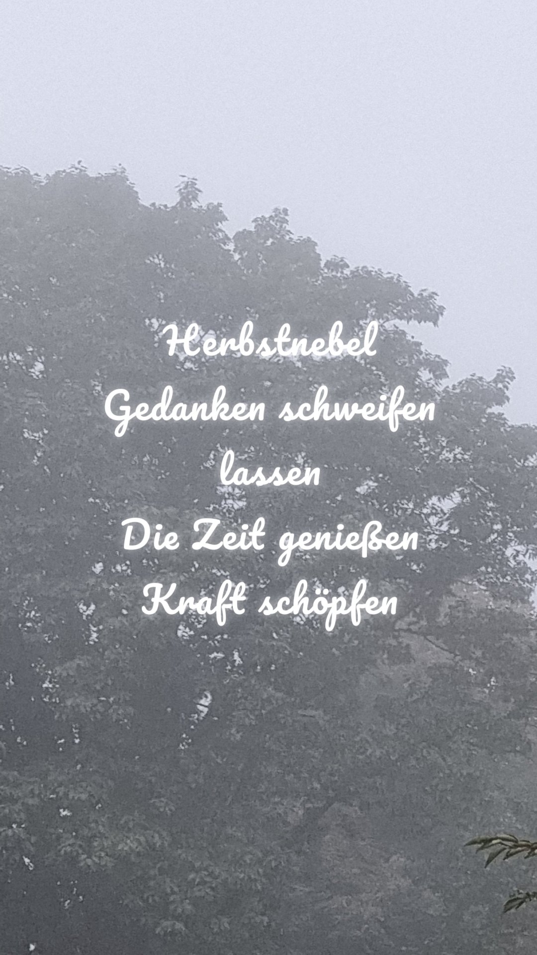 Herbstnebel
Gedanken schweifen lassen
Die Zeit genießen
Kraft schöpfen