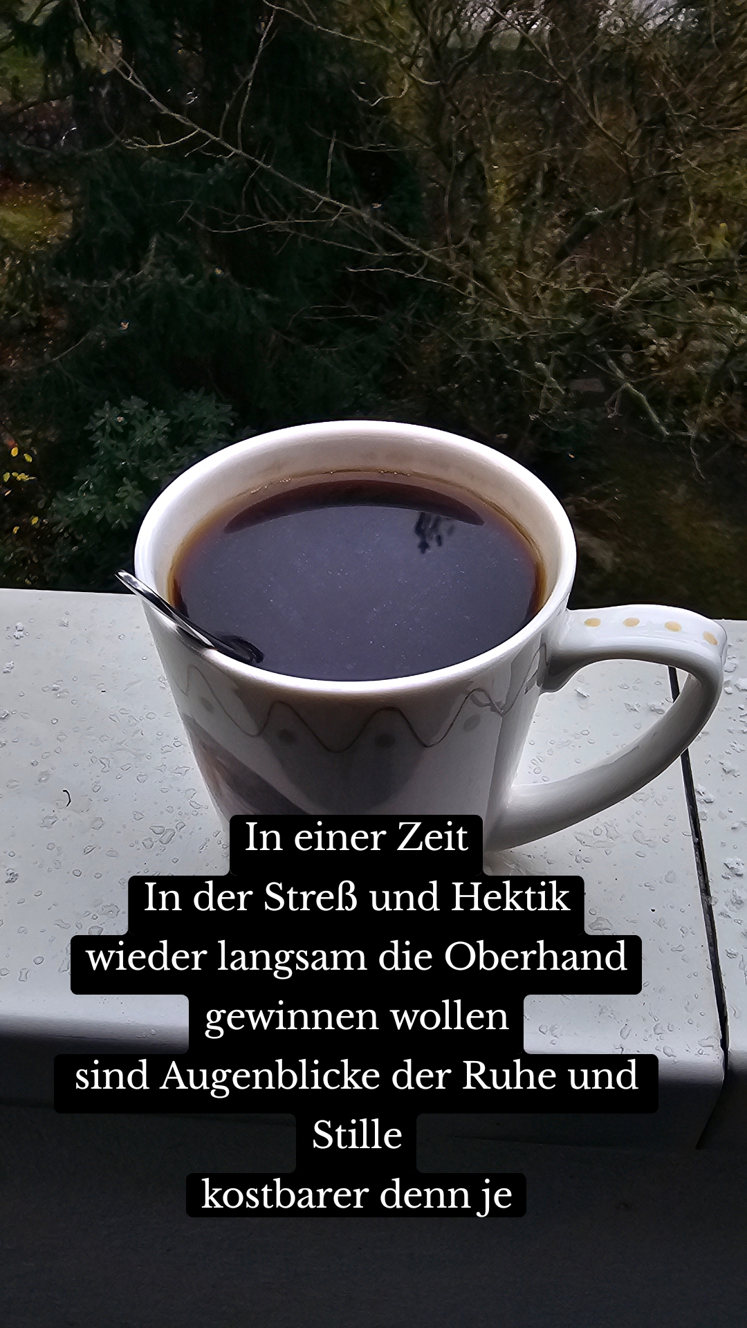 In einer Zeit
In der Streß und Hektik
wieder langsam die Oberhand
gewinnen wollen
sind Augenblicke der Ruhe und Stille
kostbarer denn je