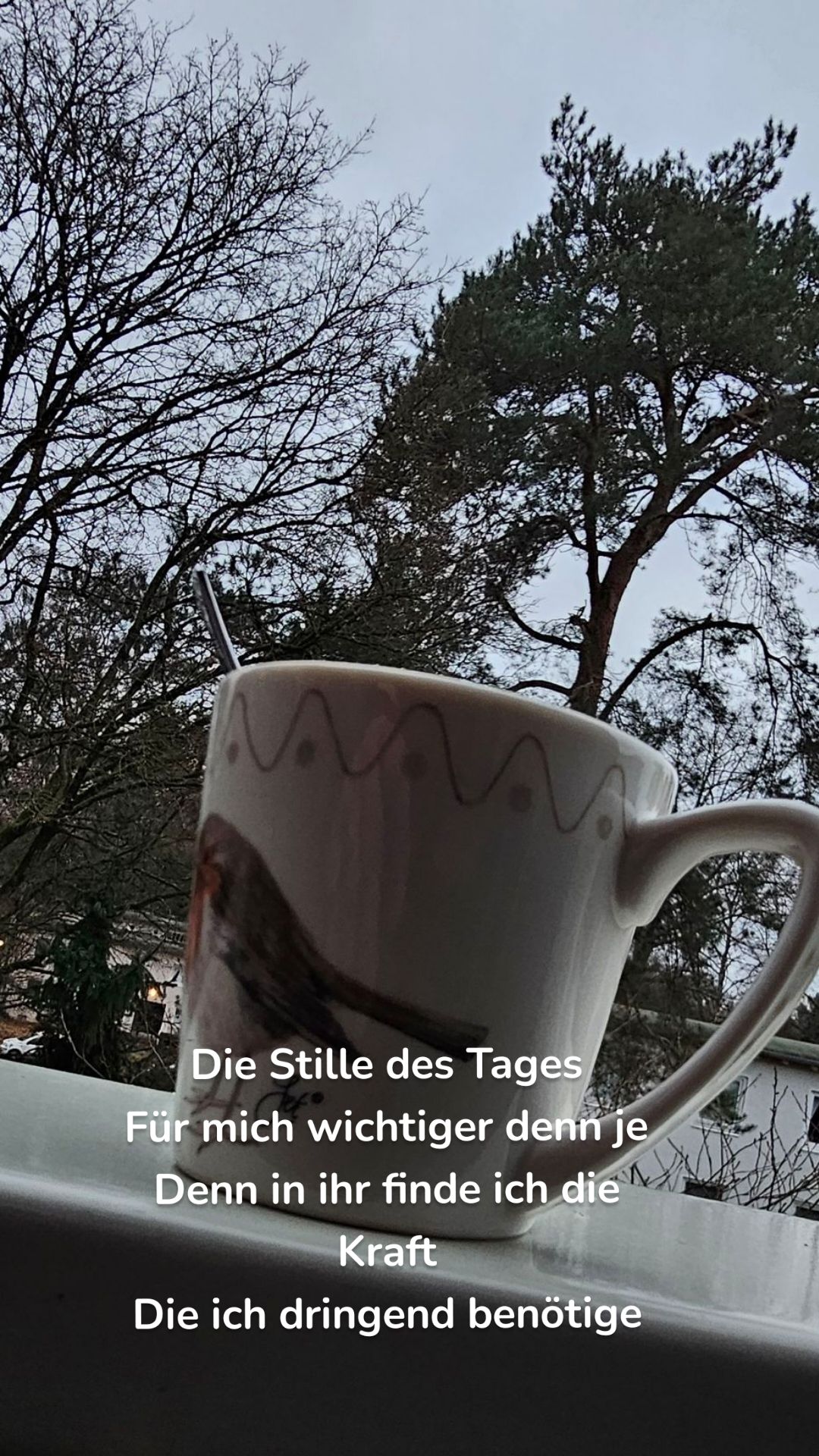 Die Stille des Tages
Für mich wichtiger denn je
Denn in ihr finde ich die Kraft
Die ich dringend benötige